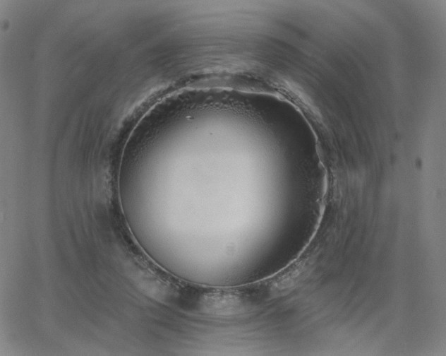 X0000063450354200601201226