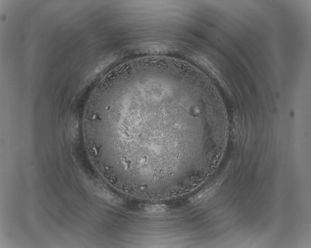 X0000063450355200601201226