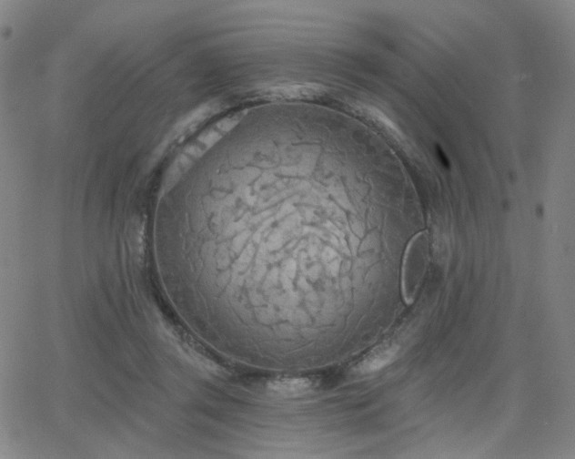 X0000063450357200601201226