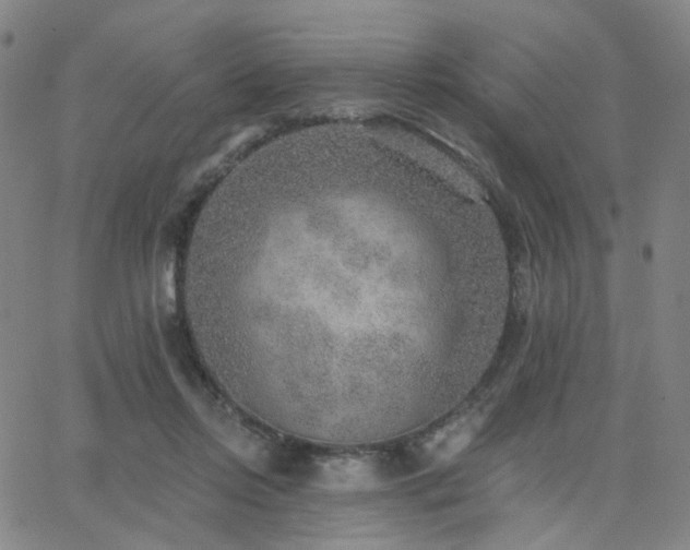 X0000063450358200601201226