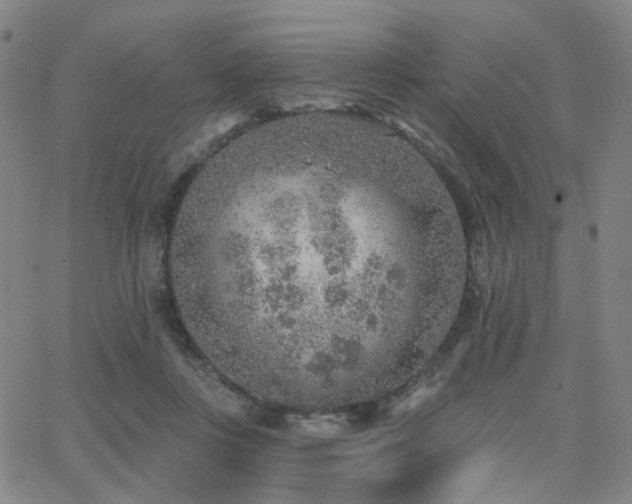 X0000063450359200601201226