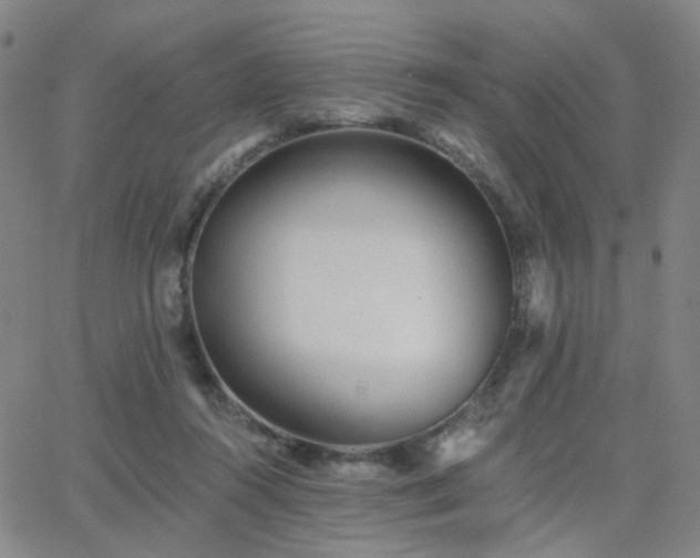 X0000063450360200601201226