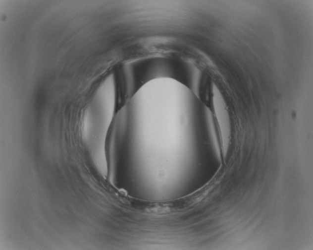 X0000063450362200601201226