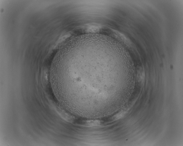 X0000063450363200601201226