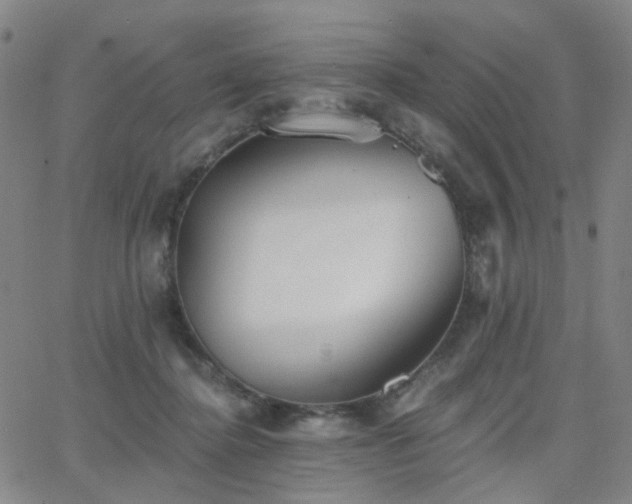 X0000063450364200601201226