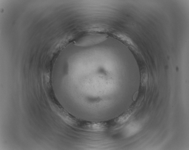 X0000063450365200601201226