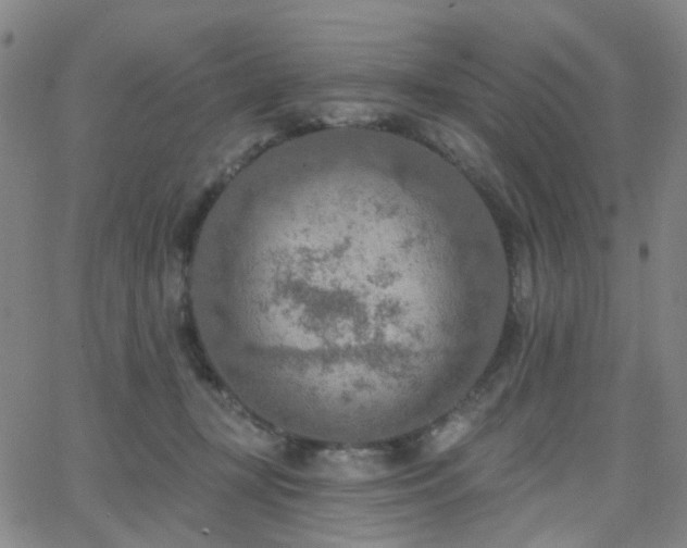 X0000063450367200601201226