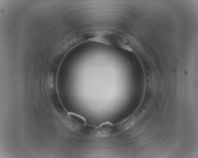 X0000063450368200601201226