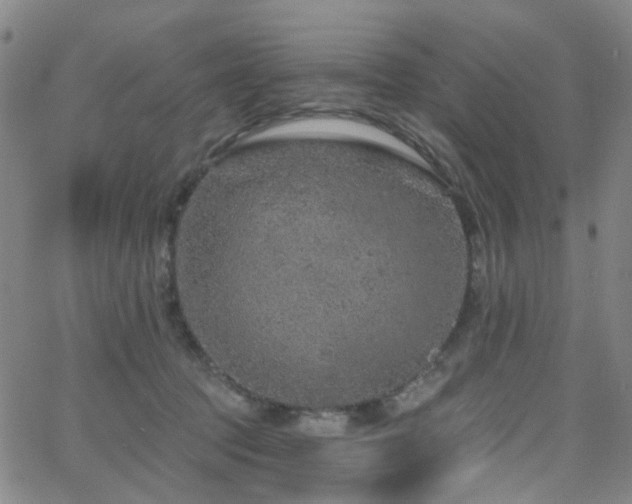 X0000063450369200601201226