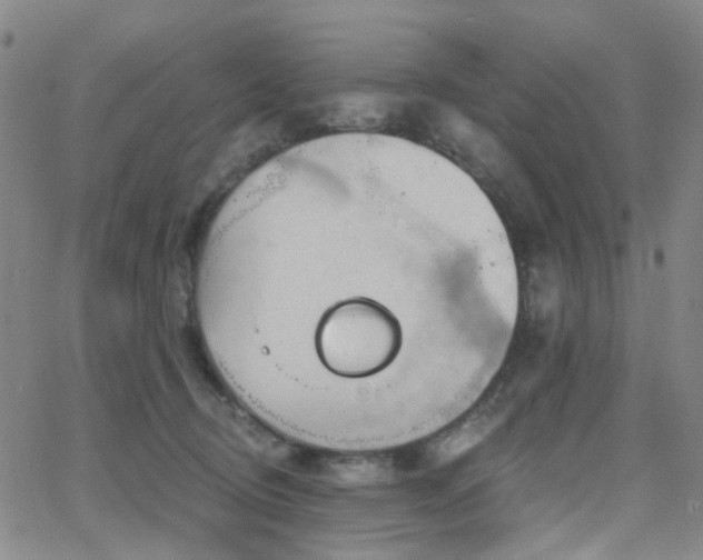 X0000063450370200601201226