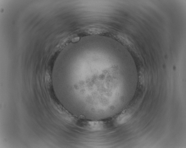 X0000063450371200601201226