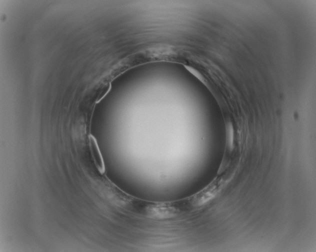 X0000063450372200601201226