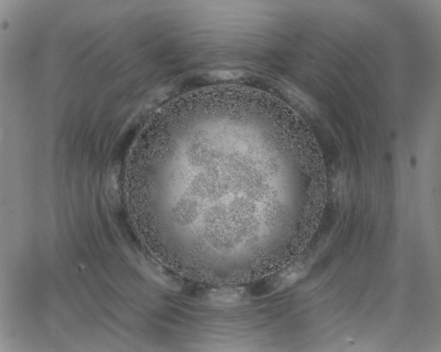 X0000063450373200601201226