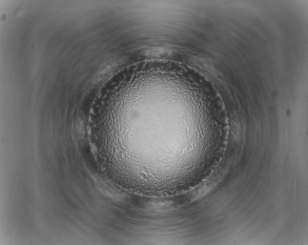 X0000063450375200601201226