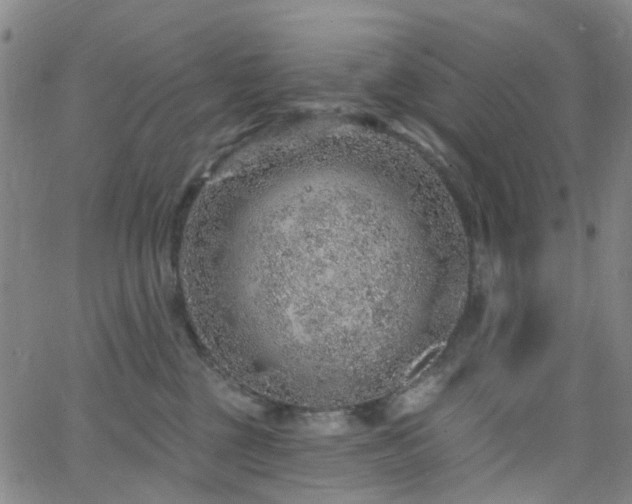 X0000063450377200601201227