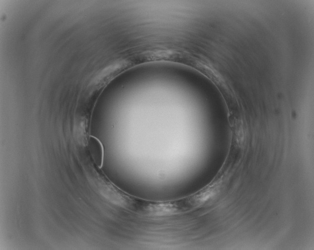 X0000063450378200601201227