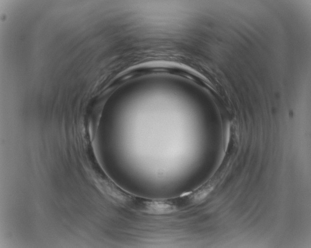 X0000063450380200601201227