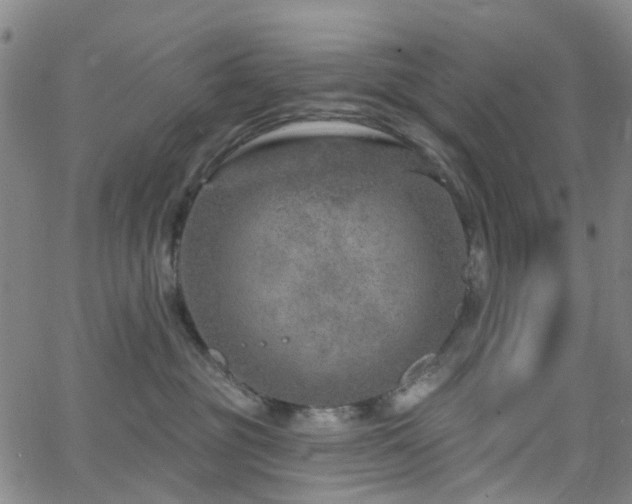 X0000063450381200601201227