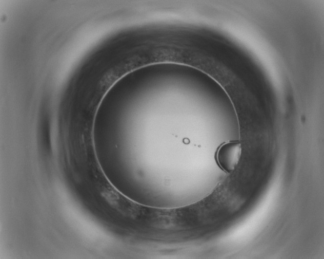 X0000063450382200601201227