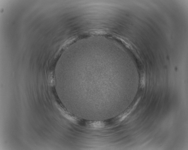 X0000063450383200601201227