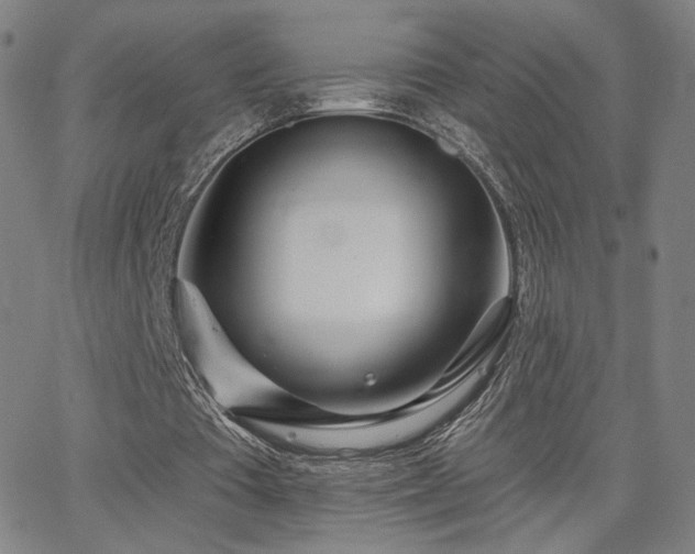 X0000063450385200601201226