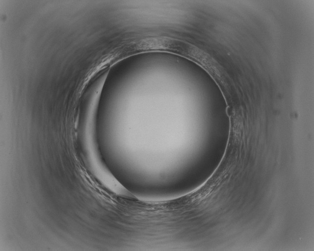 X0000063450386200601201226