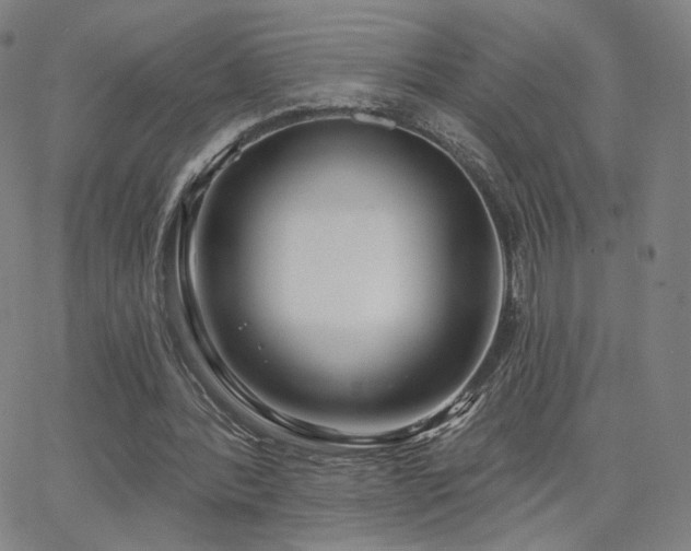 X0000063450388200601201226