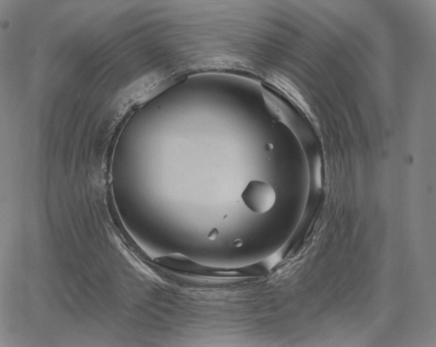 X0000063450389200601201226