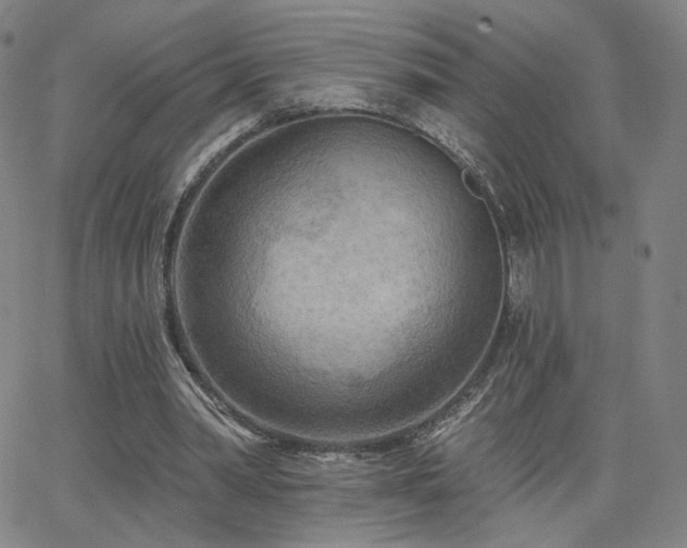 X0000063450390200601201226