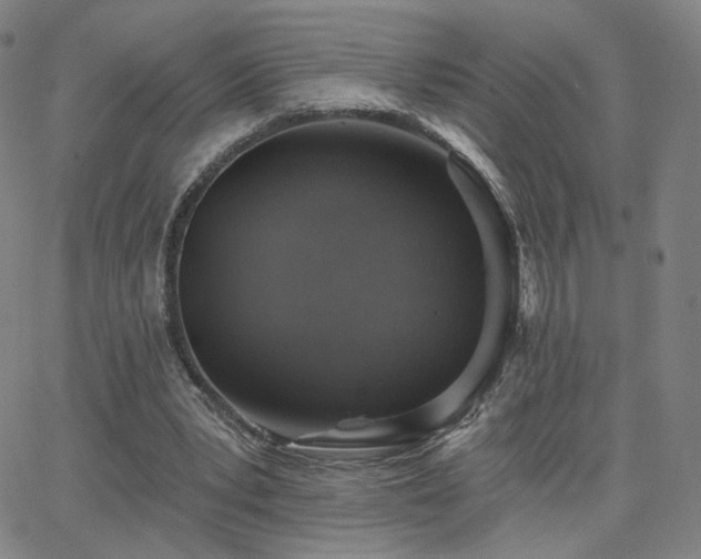 X0000063450391200601201226