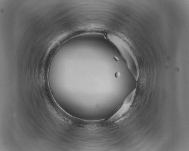 X0000063450392200601201226