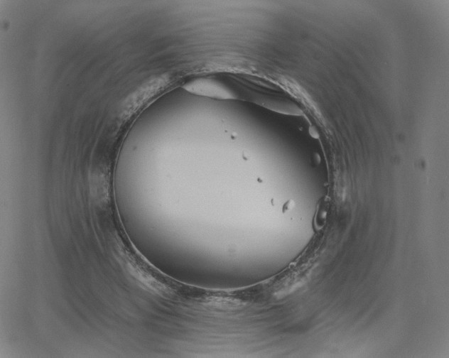 X0000063450393200601201226