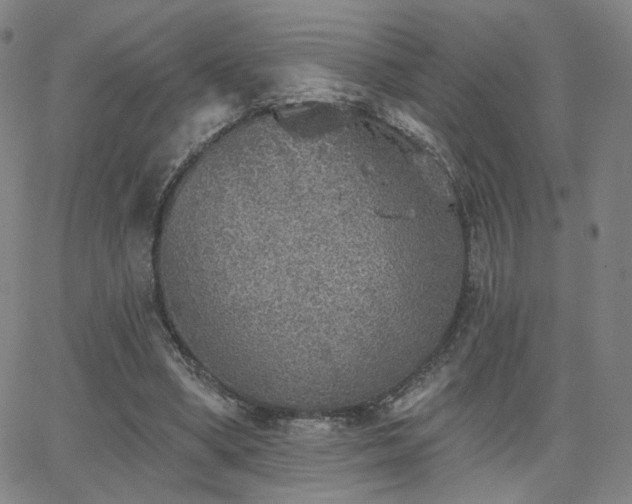 X0000063450394200601201226