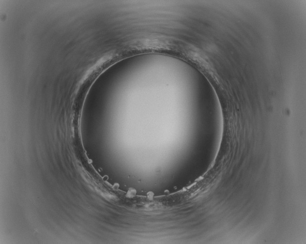 X0000063450395200601201226