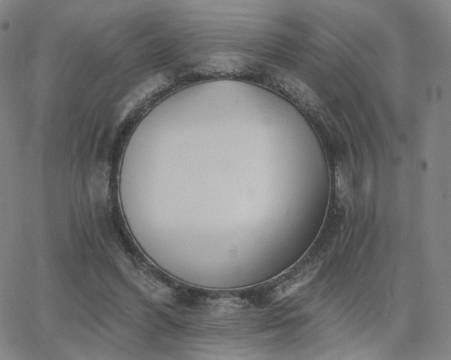 X0000063450396200601201226