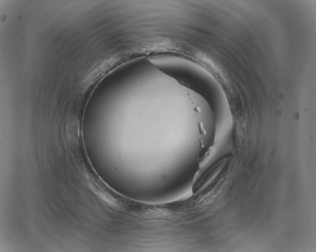 X0000063450397200601201226