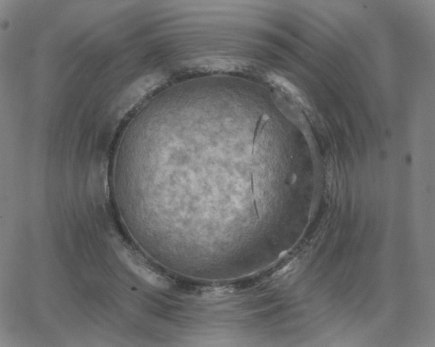 X0000063450398200601201226