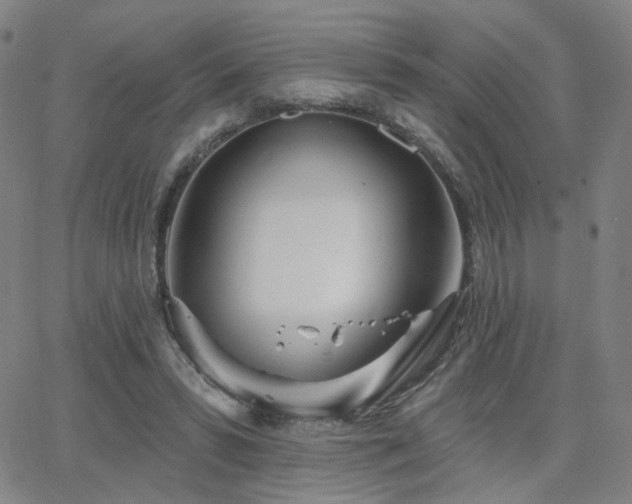 X0000063450399200601201226