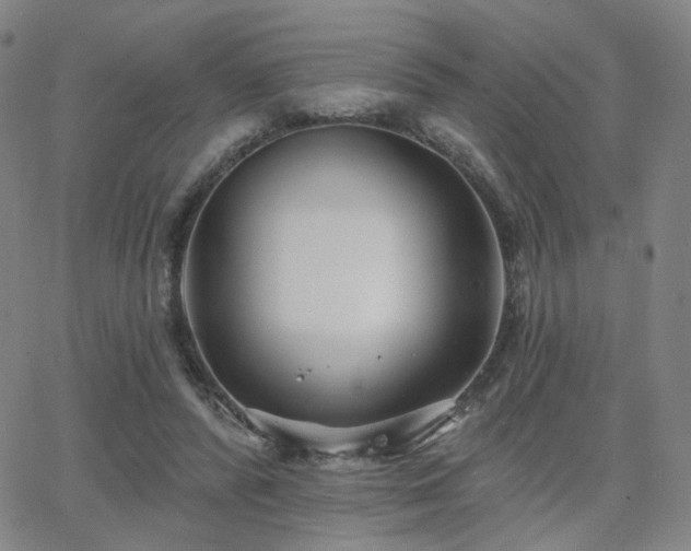 X0000063450400200601201226