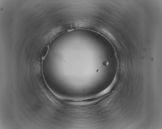 X0000063450401200601201226