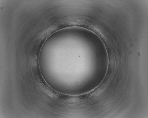 X0000063450402200601201226