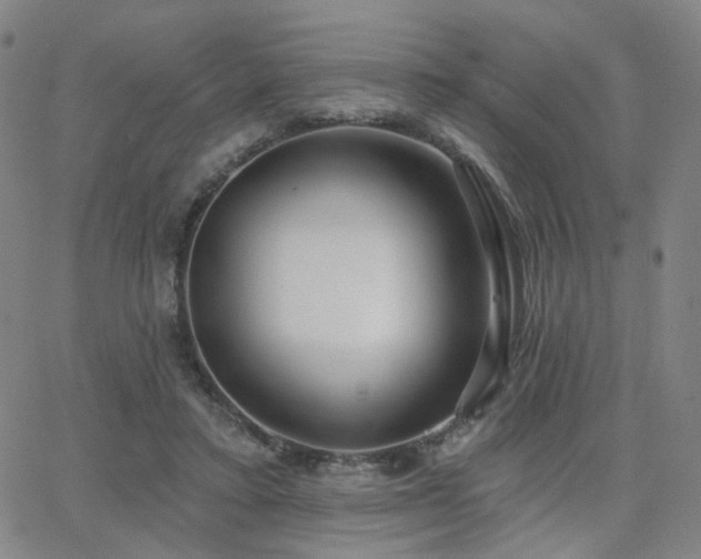 X0000063450403200601201226