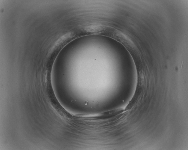 X0000063450404200601201226