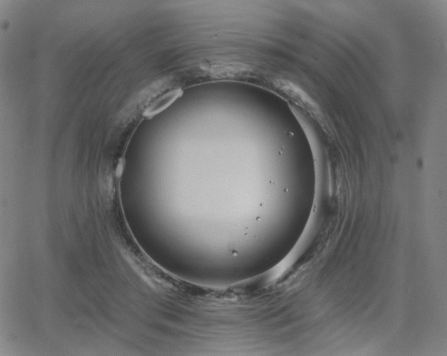 X0000063450405200601201226