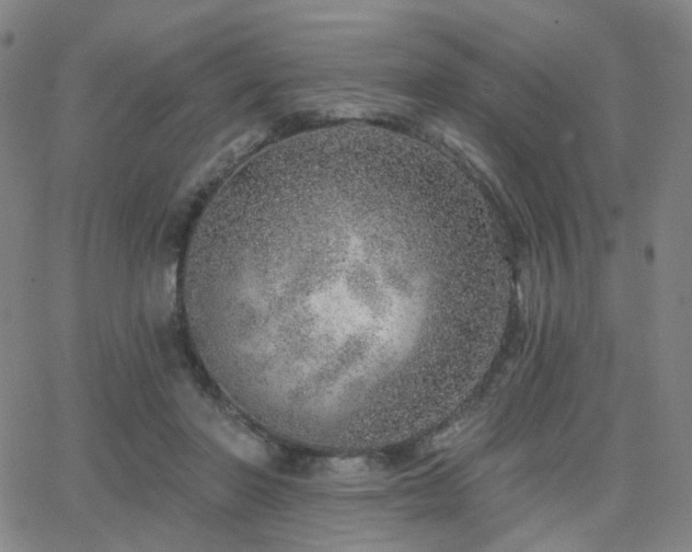 X0000063450406200601201225