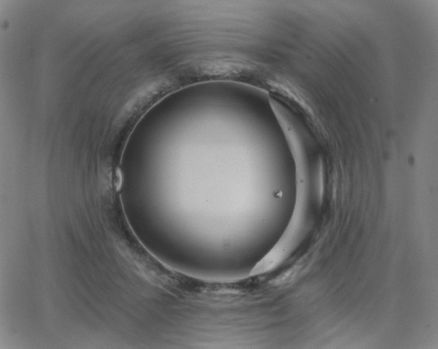 X0000063450407200601201225