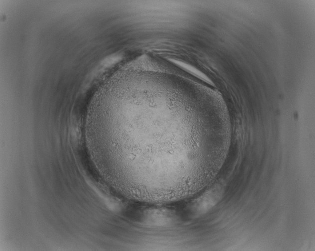 X0000063450408200601201225