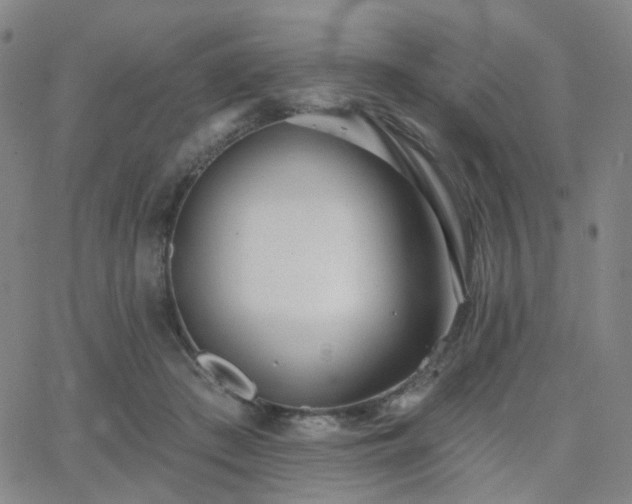 X0000063450409200601201225