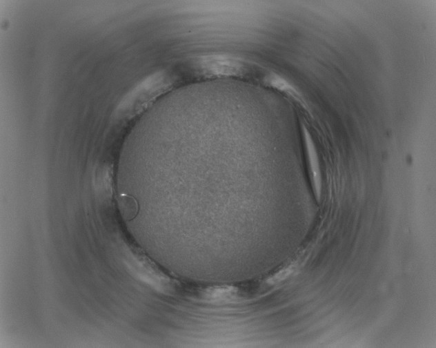 X0000063450410200601201225