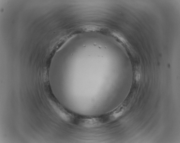 X0000063450411200601201225